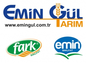 EMİN GÜL